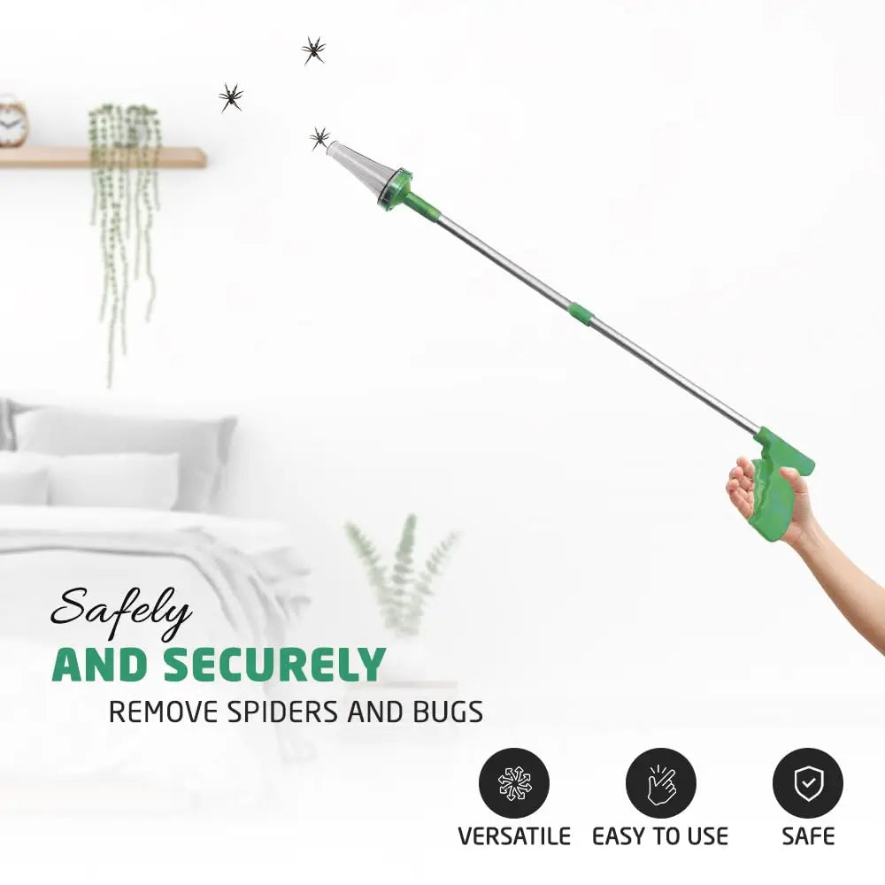Capture-Insectes