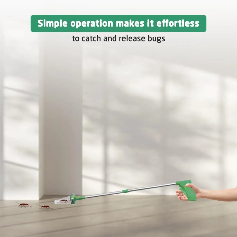 Capture-Insectes